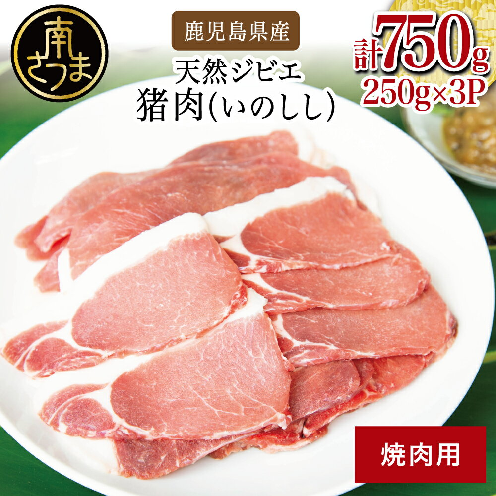 【ふるさと納税】【南さつまジビエ】鹿児島県産 猪肉 焼肉用 計750g（250g×3P） 冷凍 グルメ ジビエ肉 ジビエ イノシシ 焼肉 焼肉セット