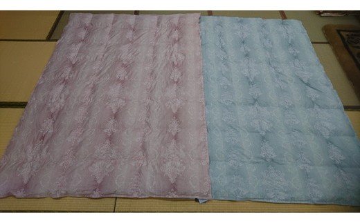 羽毛の宝石　アイダーダックダウン95%300g入り　羽毛肌布団「セーヌ」春夏用（ブルー）【CW54W】