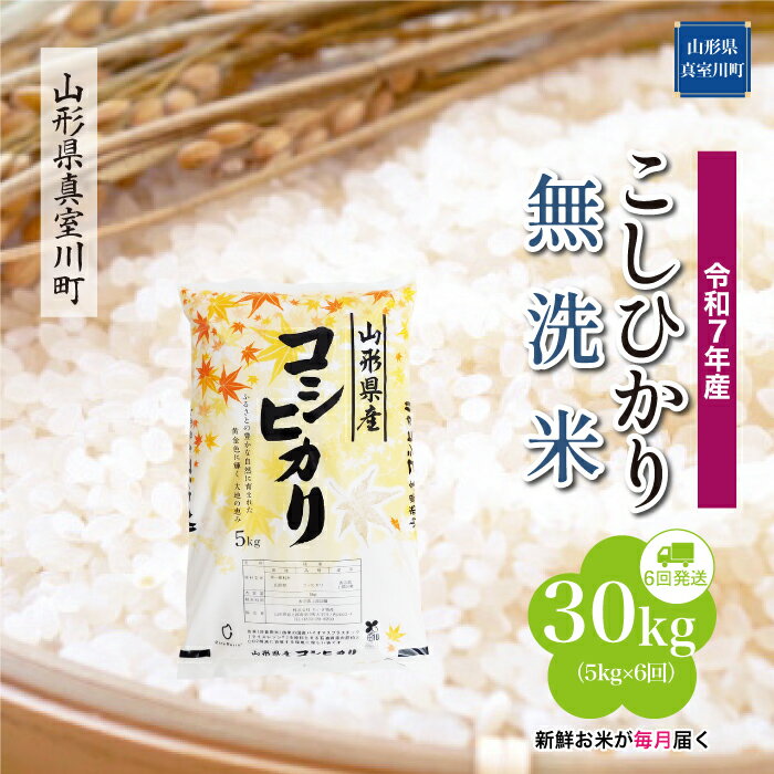 【ふるさと納税】 令和7年産 真室川町厳選 コシヒカリ ［無洗米］ 30kg 定期便（5kg×6回お届け）