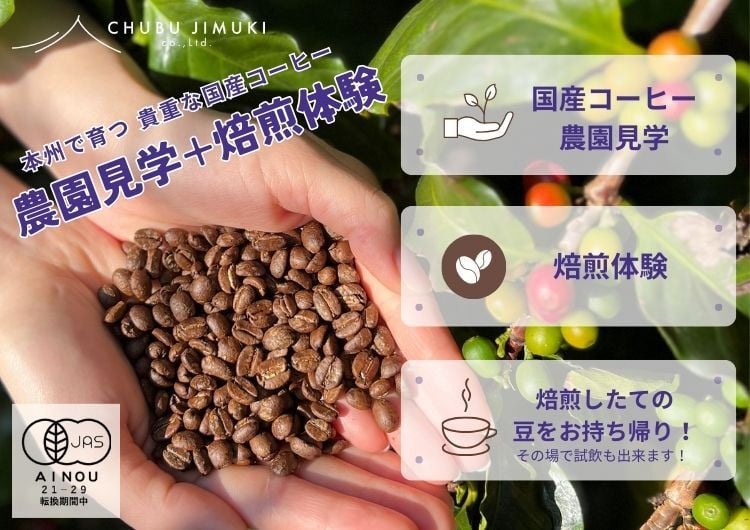 
            990　コーヒー栽培ハウスの見学＋焙煎体験＋試飲
          