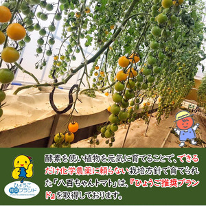 【定期便・全4回】イエローミニトマトのトマトジュース 1L 3本セット × 4回｜国産 姫路産 八百ちゃんトマト 100%ストレート