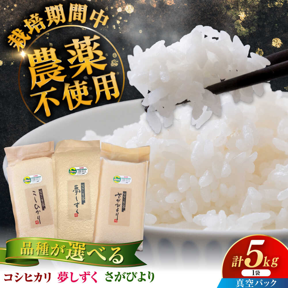 【ふるさと納税】令和7年産 ななしま家 コシヒカリ or さがびより or 夢しずく 5kg-10kg / 佐賀県 / 有限会社七島農産 [41AHAC001]