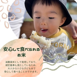 【3回定期便】減農薬米 特別栽培米 畑中さんの ひのひかり 白米10kg ヒノヒカリ 奈良県 三宅町