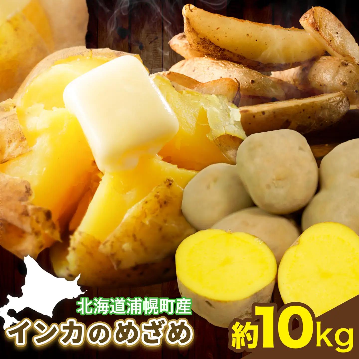 インカのめざめ 10kg じゃがいも 飯山農場《9月中旬-3月上旬頃出荷》芋 ジャガイモ 野菜 送料無料 北海道 浦幌町 