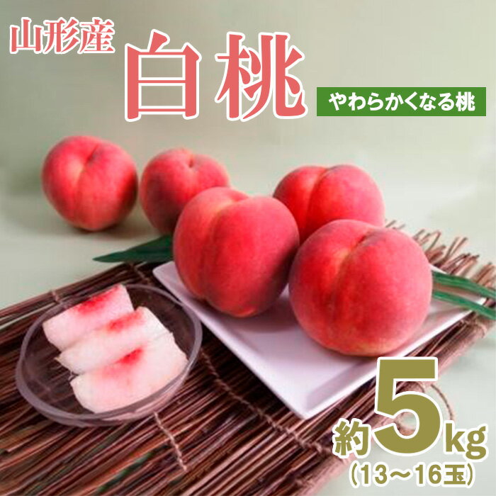 【ふるさと納税】山形産白桃約5kg(13〜16玉)[やわらかくなる桃] 【令和7年産先行予約】FU19-328くだもの 果物 フルーツ 山形 山形県 山形市 お取り寄せ 2025年産