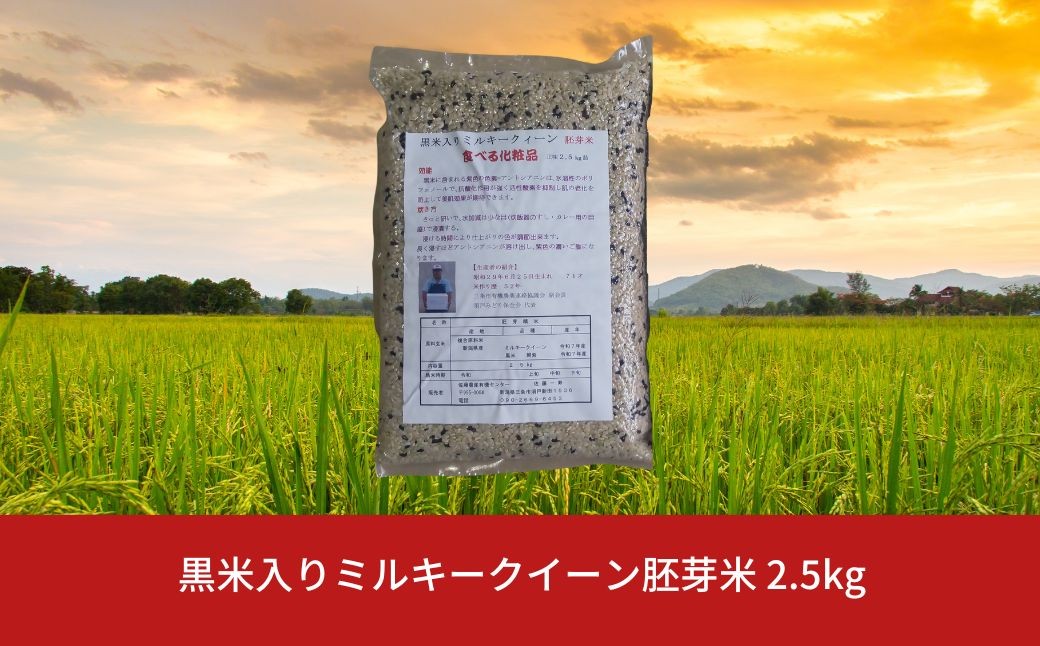 
            黒米入りミルキークイーン胚芽米 2.5kg 朝紫 令和７年産  [佐藤農産有機センター]【010S843】
          