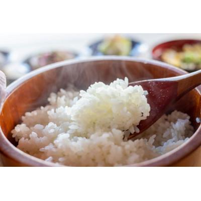 ふるさと納税 十日町市 【令和7年産】　魚沼産コシヒカリ5kg |  | 01