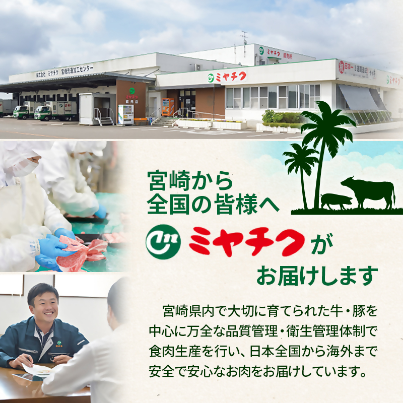 【6ヶ月定期便】宮崎牛Bコース 焼肉・すき焼き・ステーキ ミヤチク＜11-3＞