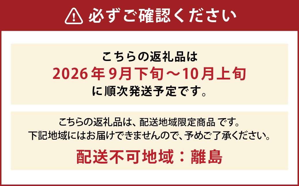 たっぷり日光を浴びたみずみずしい 種無しぶどう3種セット （シャインマスカット＋旬なぶどう） 2kg