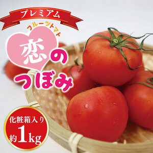 ★数量限定★JA フルーツトマト恋のつぼみプレミアム約1kg(化粧箱)｜トマト フルーツトマト プレミアム 化粧箱 贈り物 ギフト 恋のつぼみ 数量限定 野菜 茨城県 行方市(AE-7)