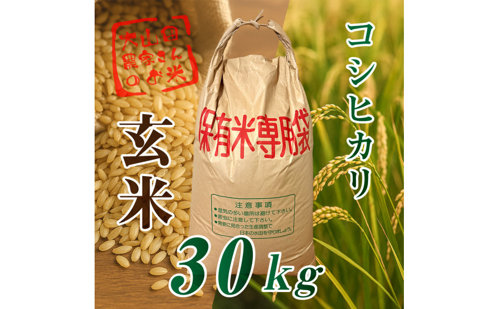 令和７年度産新米 伊賀産 コシヒカリ 30kg 玄米 242161_CS024