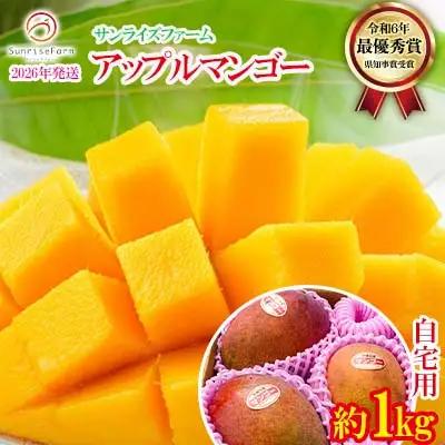 マンゴー【2026年発送】サンライズファーム 自宅用マンゴー 約1kg（2～3玉）