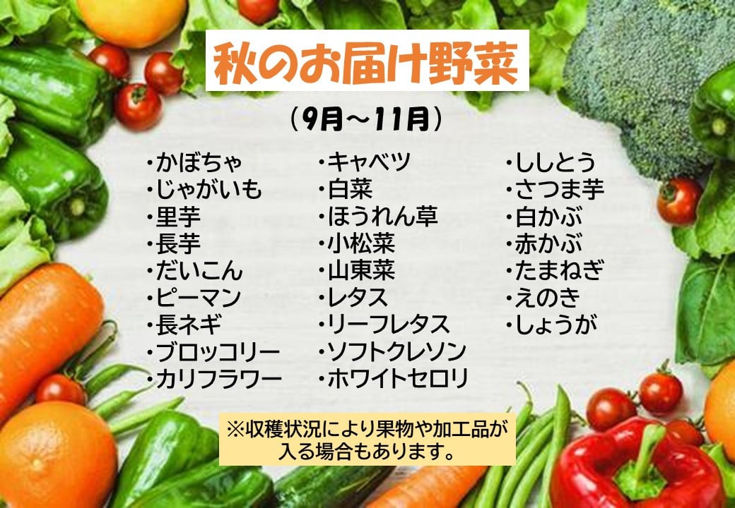 この中から7品以上発送します。※収穫状況によって果物・加工品（納豆・味噌・漬物など）が入る場合があります