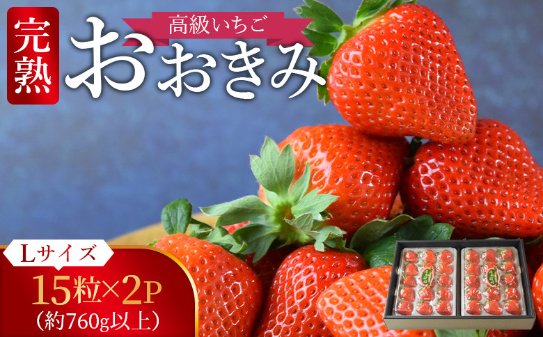 
            高級いちご「おおきみ」 （15粒入り×2パック 合計約760g以上）【 選べる 贈答用 簡易包装 ご家庭用 いちご イチゴ 苺 先行予約 甘い 大きい 果物 フルーツ 季節物 お祝い お返し サンクール・スマイルファーム 】2025年1月上旬から4月末迄に順次出荷
          