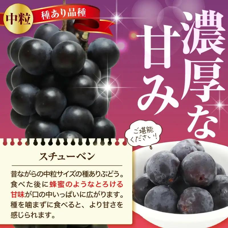 ぶどう スチューベン 2kg ブドウ