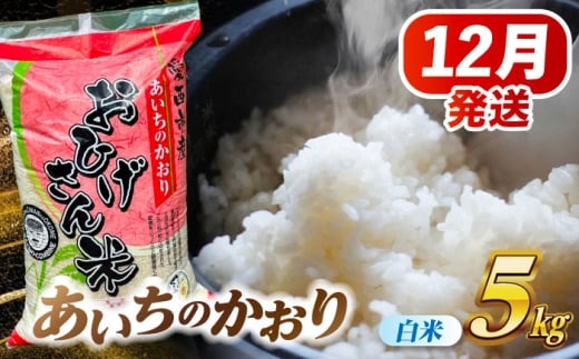 米 【12月発送】あいちのかおり 白米 5kg 米 お米 5kg 5キロ 白米 精米 新米 コメ ご飯 ごはん 愛知県産 国産 県産米 国産米 あいちのかおり 発送 時期 選べる 産地直送 15000円 1万5千円 令和7年 愛西市 / 脇野コンバイン [AECP001-3]