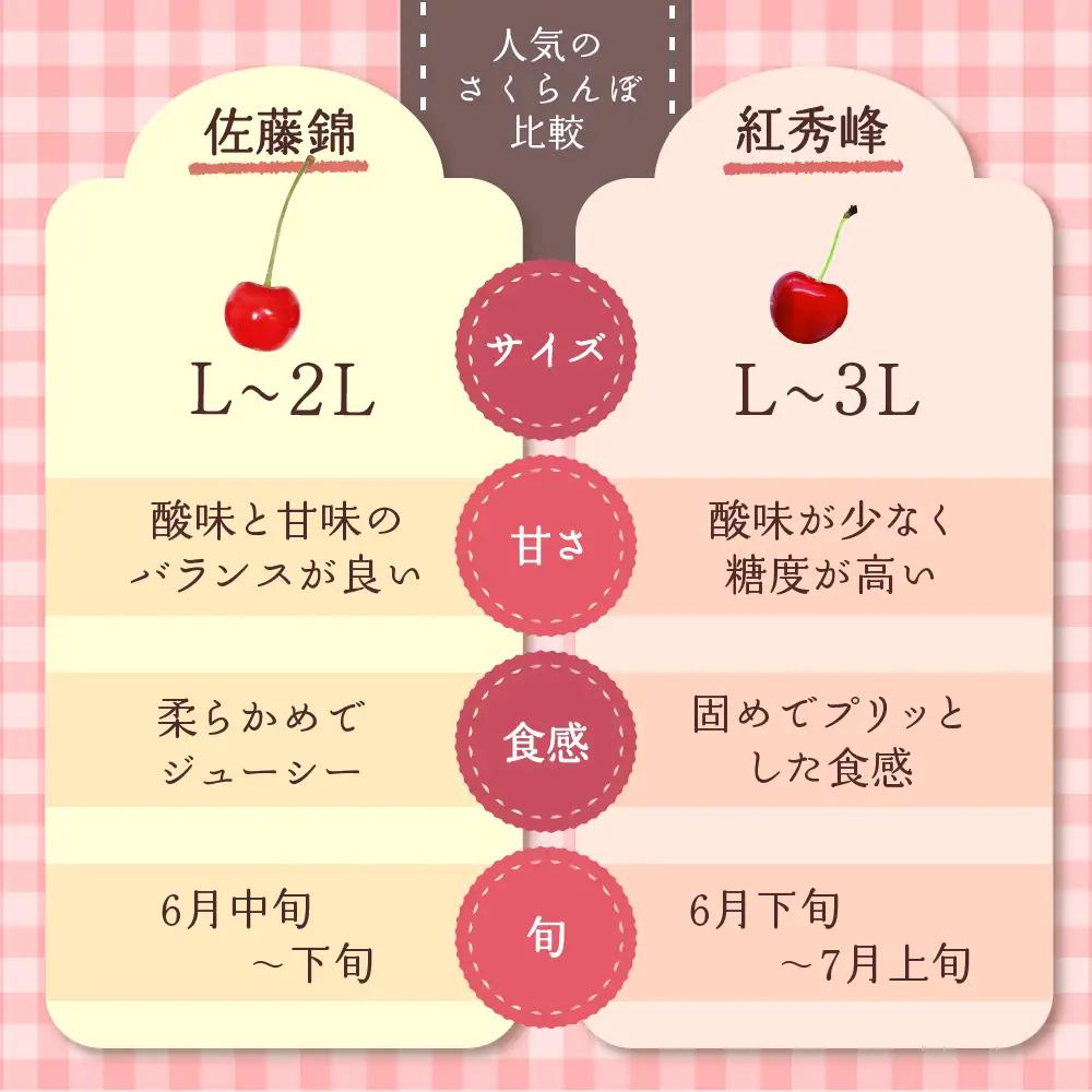 さくらんぼ 佐藤錦 紅秀峰 360g 秀L以上 令和8年産 さくらんぼ