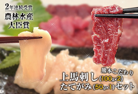 馬刺し 上赤身 ブロック 国産 熊本肥育 冷凍 生食用 たれ付き(100g×2)＋たてがみセット(50g×1) 肉 期間限定 絶品 熊本県大津町《90日以内に出荷予定(土日祝除く)》