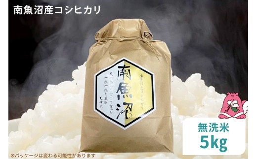 令和8年産 5kg〈無洗米〉越後湯沢産 南魚沼産 コシヒカリ 豪雪を源とする水の恵み【湯沢産 コシヒカリ】