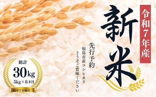 
            No.1503【令和７年産新米　先行予約】大文字屋米穀店【定期便6回】コシヒカリ 5kg 精米（隔月でお届け）
          