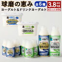 【ふるさと納税】球磨の恵み ヨーグルト 2パック＆ドリンクヨーグルト 8本セット 合計3.8kg 全6種 加糖 砂糖不使用 飲むヨーグルト のむヨーグルト ドリンクタイプ まろやか 自然派志向 冷蔵 熊本県 球磨人吉産 送料無料