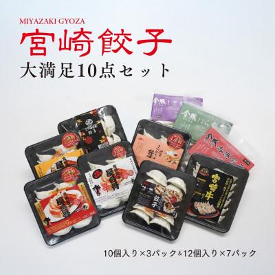 ふるさと納税 宮崎市 宮崎餃子　大満足10点セット