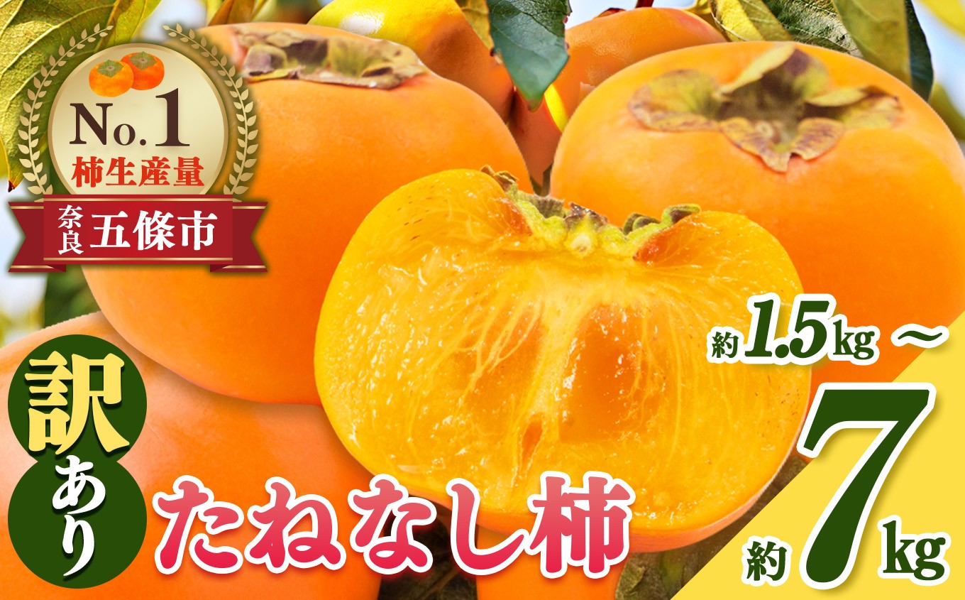 
                  たねなし 柿 わけあり ！ 約 1.5kg ～ 約 7kg | フルーツ くだもの 果物 柿 かき カキ 訳 あり 訳あり 訳アリ 訳あり 家庭用 自宅用 ご自宅用 大容量 どっさり たっぷり 甘い 種なし ビタミン 食物繊維 豊富 産地直送 美容 奈良県 五條市 10月 11月 秋 旬 味覚 お歳暮 シモサコ果樹園 サイズ 不選別 キズ 不揃い 西吉野 人気
                