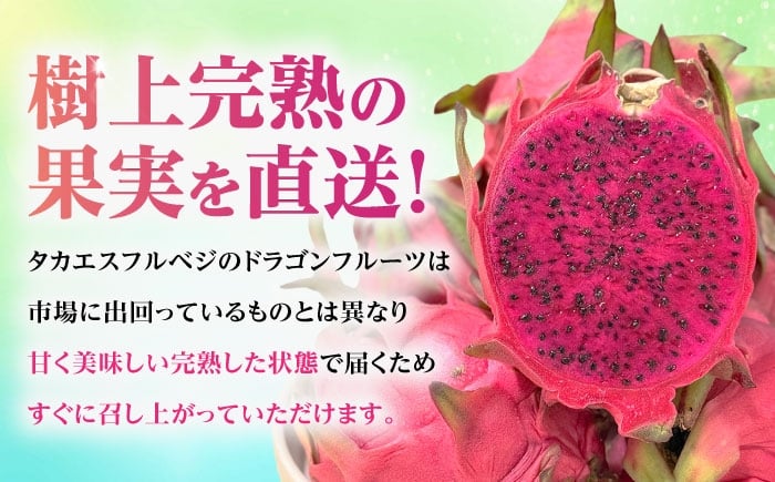 フルーツ ふるーつ 赤 果肉 レッド ピタヤ トロピカルフルーツ トロピカル くだもの 青果 果実 国産 産地直送 産直 沖縄市