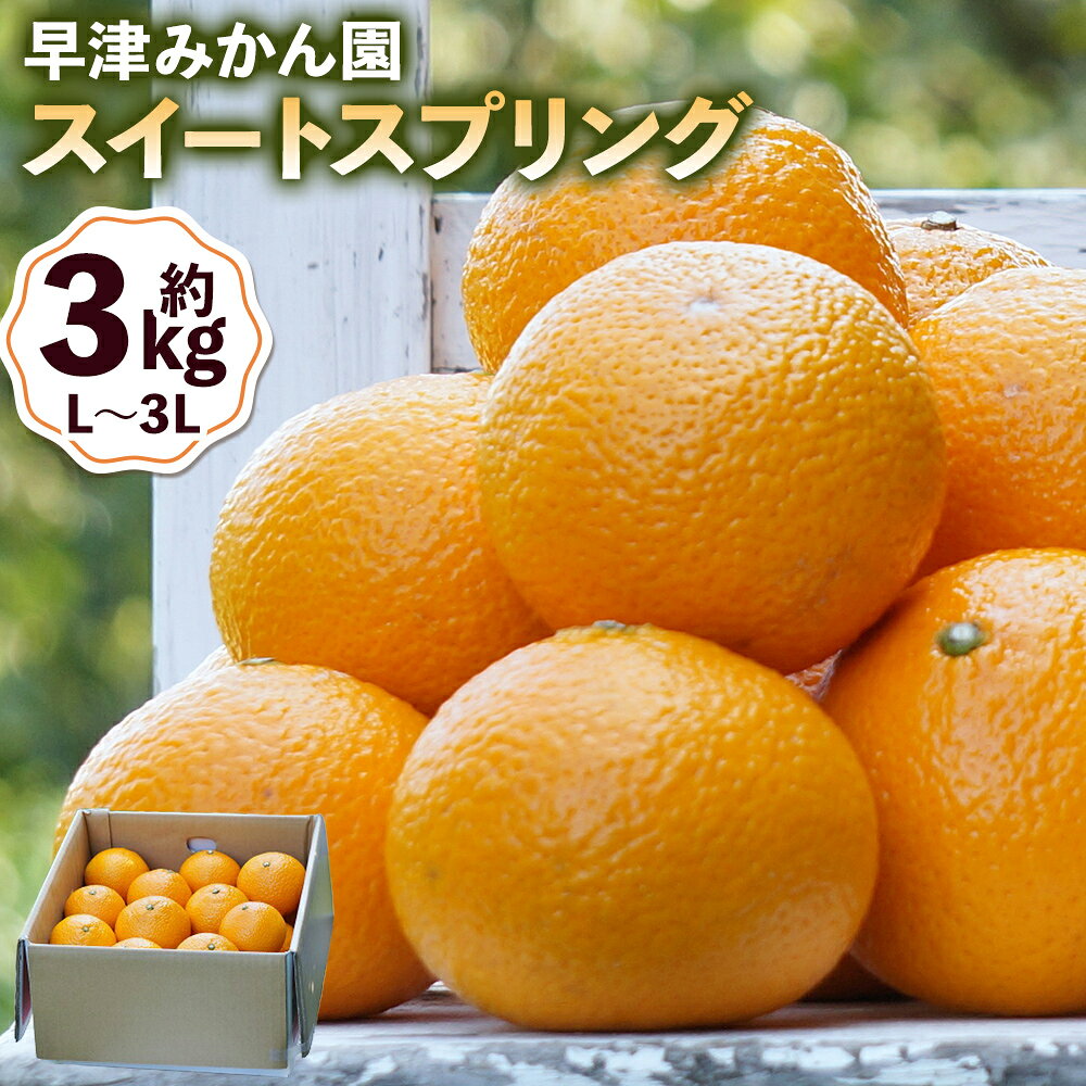 【ふるさと納税】早津みかん園のスイートスプリング 3kg スイートスプリング みかん ミカン 柑橘 柑橘系 柑橘類 くだもの 果物 フルーツ 国産 佐賀県産 太良町産 佐賀県 太良町 常温 L27x1　【2027年2月上旬～3月上旬発送予定】