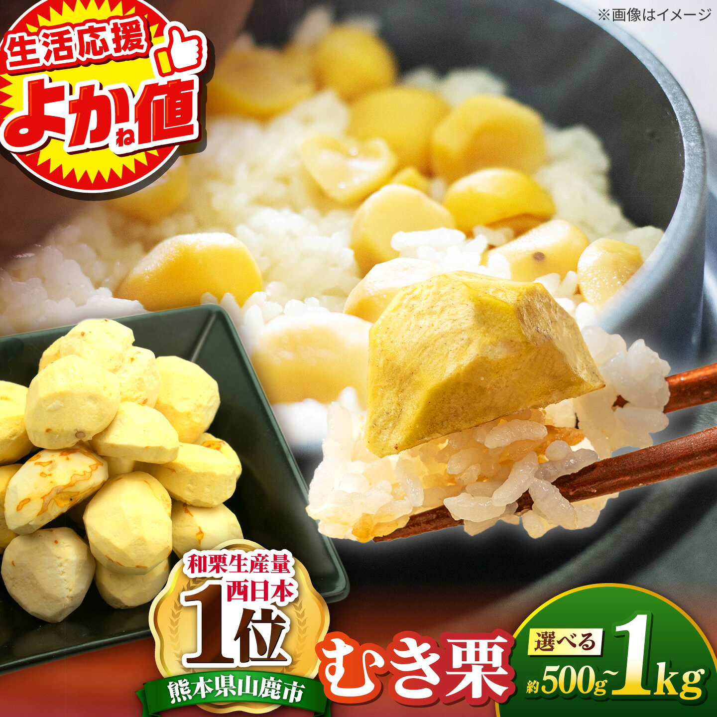 【ふるさと納税】＼生活応援よか値キャンペーン／《選べる容量！》むき栗 約500〜約1kg 【すみれファーム】[ZEP060]