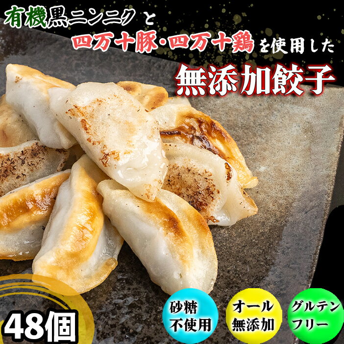【ふるさと納税】 有機 黒 ニンニク と 四万十 豚 で作った 最高級 餃子 （ 6個 x 8パック ）ぎょうざ ギョウザ にんにく 高知 野菜 EA0321_2x