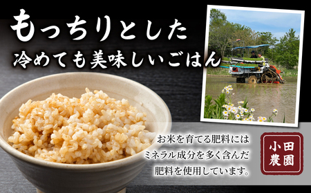 玄米10kg（5kg×2袋）冷めても美味しいコシヒカリ【小田農園】　　｜最短4〜7日程度でお届け　※着日指定不可