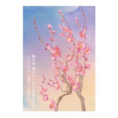 ふるさと納税 水戸市 【水戸市優良観光土産品】Shamrock 粒マスタード 梅香 3個 |  | 03