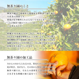無茶々園の飲むみかんゼリー8個セット