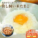 【ふるさと納税】【9ヵ月定期便】放し飼い 米たまご 55個+5個保証【計60個】 農家直送 赤たまご 新鮮 卵 純植物性飼料 飼料にこだわった 卵かけご飯 卵 定期便 9回 送料無料