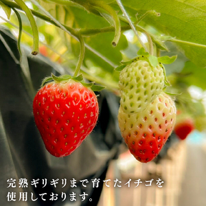 いちごジャム（6瓶セット）／ いちごジャム【hani06】