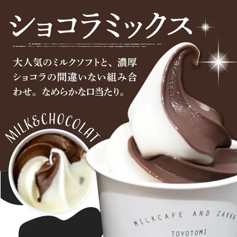 とよとみ牛乳ソフトクリーム パーティーサイズ ミルク/ショコラミックス 各1個1L（計2L）訳あり