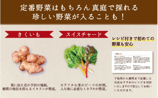 【12カ月定期便】真庭あぐり野菜セット カット野菜が1品入る 7～8品 平飼い卵付き / 産地直送 農家 お試し 岡山県 新鮮 あぐりガーデン 国産 【配送不可地域：北海道／沖縄県／離島】 【jujy