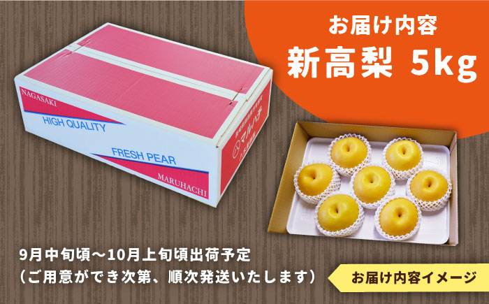 【2025年9月〜発送】シャリッと食感がたまらない！新高梨 5kg (玉数おまかせ) / 梨 なし くだもの 果物 フルーツ 常温 ギフト プレゼント 贈り物 / 南島原市 / ふるさと企画 [SBA