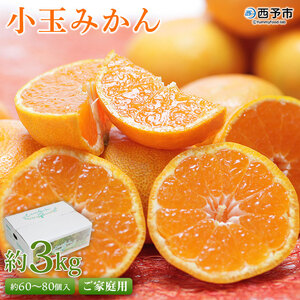 先行予約＜愛媛県西予市産 小玉みかん ご家庭用 約3kg＞ 2Sサイズ 訳あり わけあり 果物 フルーツ 温州ミカン 蜜柑 甘い あまい おいしい 美味しい オレンジ 柑橘 特産品 愛媛県 西予市【常温】『2025年10月中旬～12月下旬迄に順次出荷予定』UUB0002