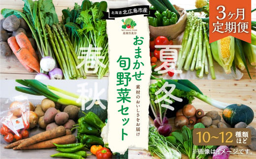 
【3ヶ月定期便】おまかせ旬野菜セット 旬 野菜 セット 北海道 北広島市
