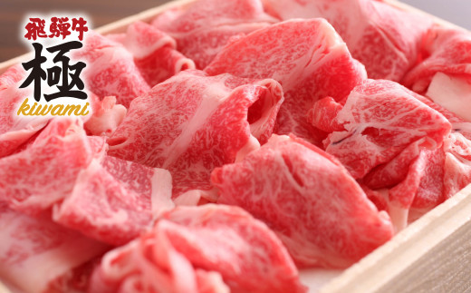 《通常発送》【訳あり】飛騨牛 ちょっとリッチな切り落とし500g　牛肉 和牛 肉 切り落とし 飛騨市推奨特産品 飛騨市 