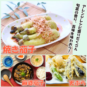 野菜 夏野菜 ナス なすび 茄子 美～ナス 3本 千両茄子 約1kg 詰め合わせ セット 朝どれ 産地直送 徳島県 阿波市