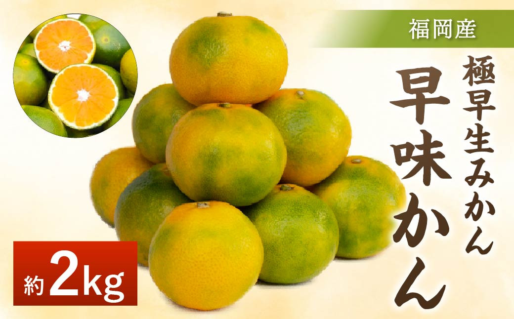 
                  福岡県産 極早生みかん 早味かん 約2kg みかん ミカン フルーツ 果物 国産【2026年9月上旬～9月下旬発送予定】
                