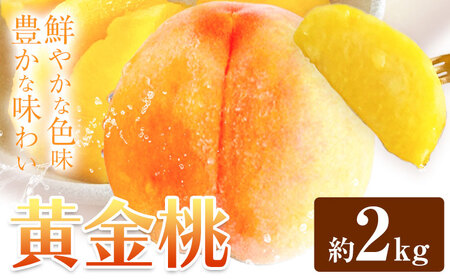 黄金桃 約2kg  花田青果株式会社 桃