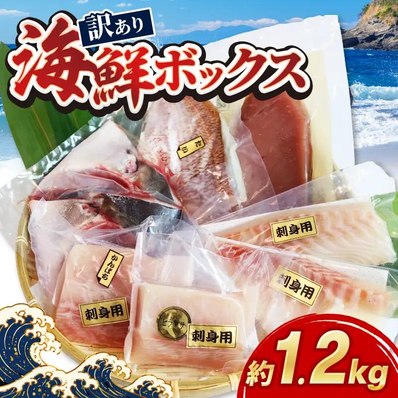 【海鮮】鮮魚セット 1.2㎏ 海鮮 刺身