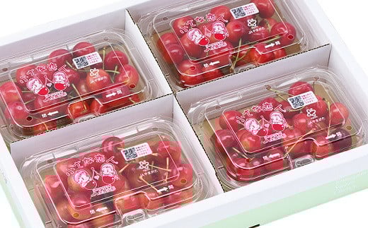 さくらんぼ（佐藤錦）７２０ｇ　0060-2518