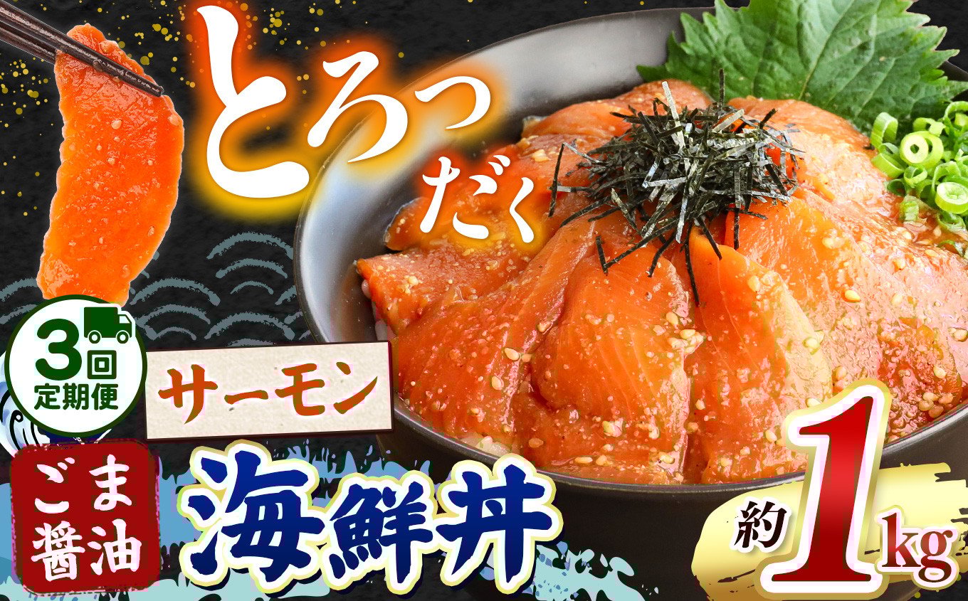 
            【 定期便3回 】"とろだく” ごま醤油 海鮮丼 サーモン  約 1kg | 熊本県 和水町 くまもと なごみ 魚 海鮮 肥後 海鮮丼 スライス 冷凍 漬け さかな 漬け丼 小分け 数量限定 人気 熊本県 熊本
          