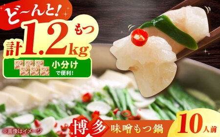 博多味噌もつ鍋 10人前セット 吉富町/株式会社MEAT PLUS[BGAB005]