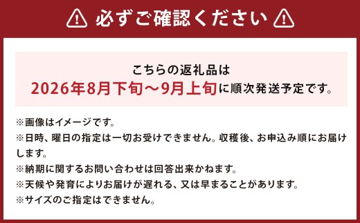 スイートコーン 味来 2Lサイズ 13本入×2箱 計26本 （JA） コーン とうもろこし トウモロコシ 国産 冷蔵 【2026年8月下旬～9月上旬迄発送予定】